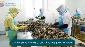 تطوير ضخم.. كوانغ نينه الريفية تتحول إلى وجهة عصرية جديدة بالكامل